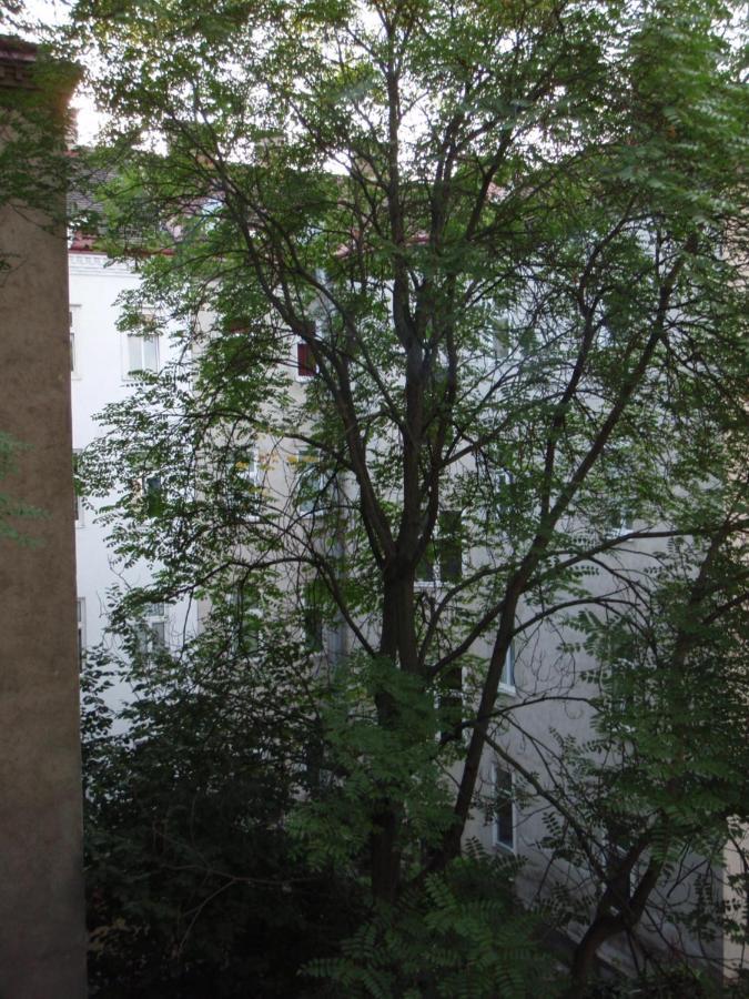 Augartenblick Penthaus 17 - Blick Zum Riesenrad Vienna Exterior photo